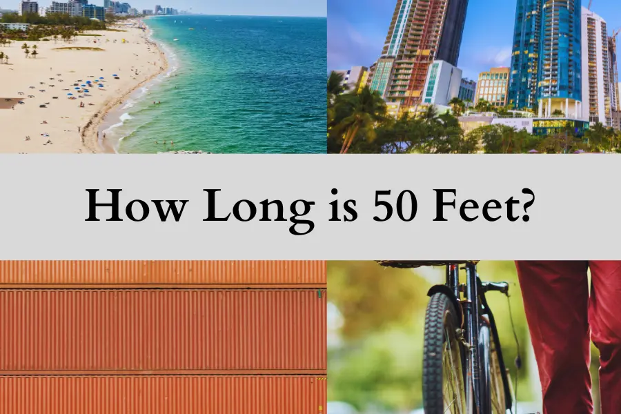 25 Things That Are 50 Feet Tall or Long - How long is 50 Feet