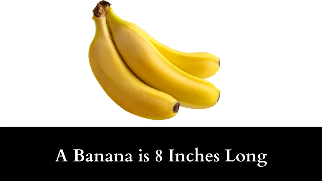 A Banana is 8 Inches Long