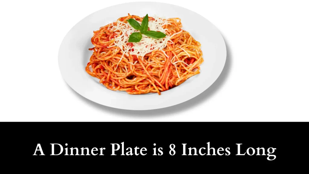 A Dinner Plate is 8 Inches Long