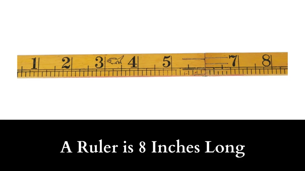 A Ruler is 8 Inches Long