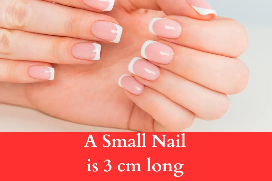 A Small Nail is 3 cm long