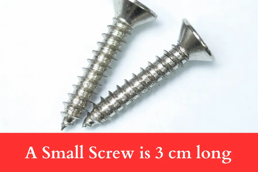 A Small Screw is 3 cm long