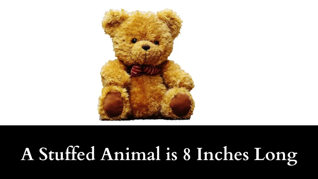 A Stuffed Animal is 8 Inches Long