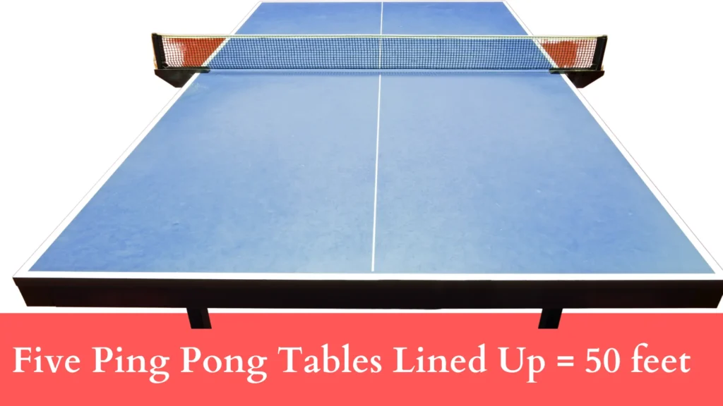 Five Ping Pong Tables Lined Up are 50 feet