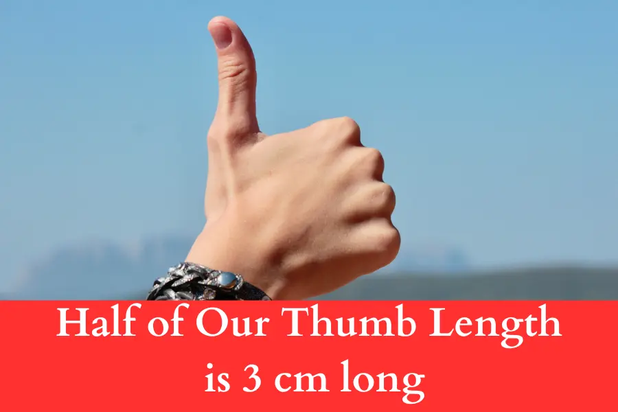 Half of Our Thumb Length is 3 cm long