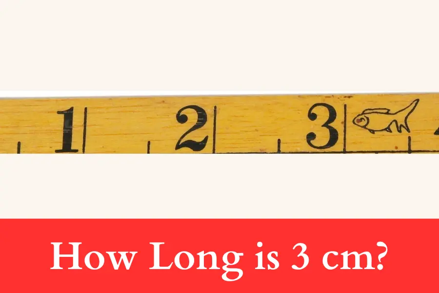 How Long is 3 cm