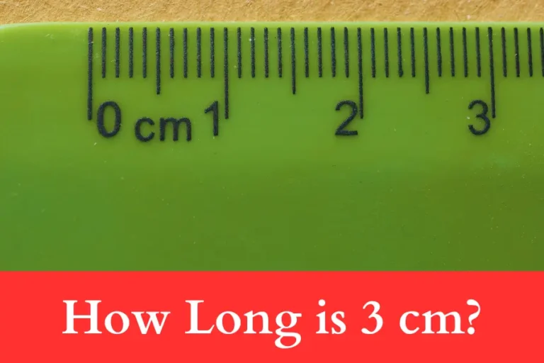 Objects That Are 3 CM Long