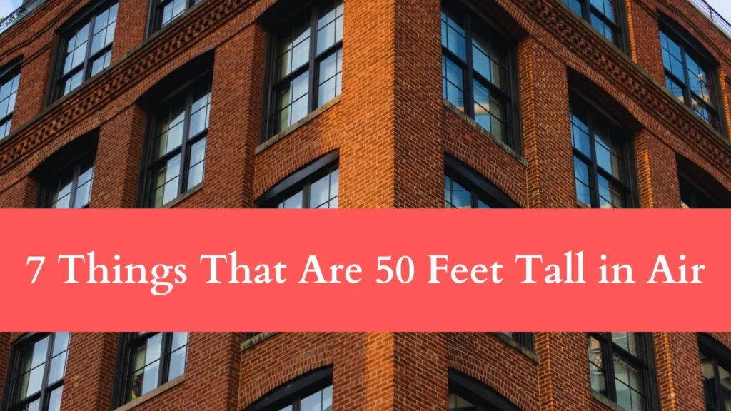 How Long is 50 Feet - 7 Things That Are 50 Feet Tall in Air