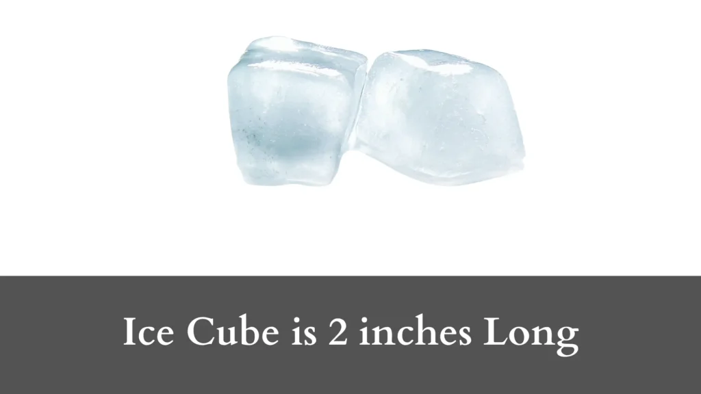 Ice Cube is 2 inches Long