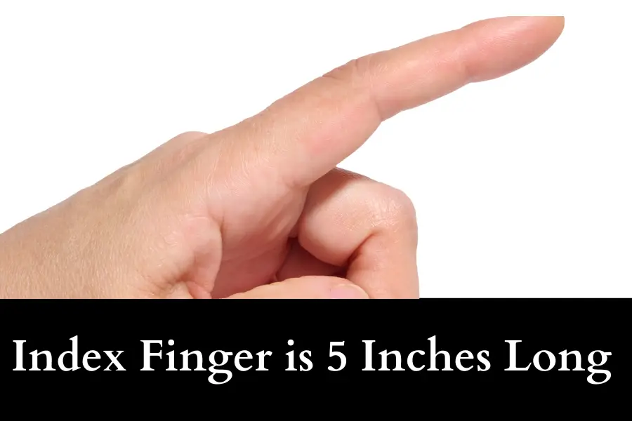 Index Finger is 5 Inches Long