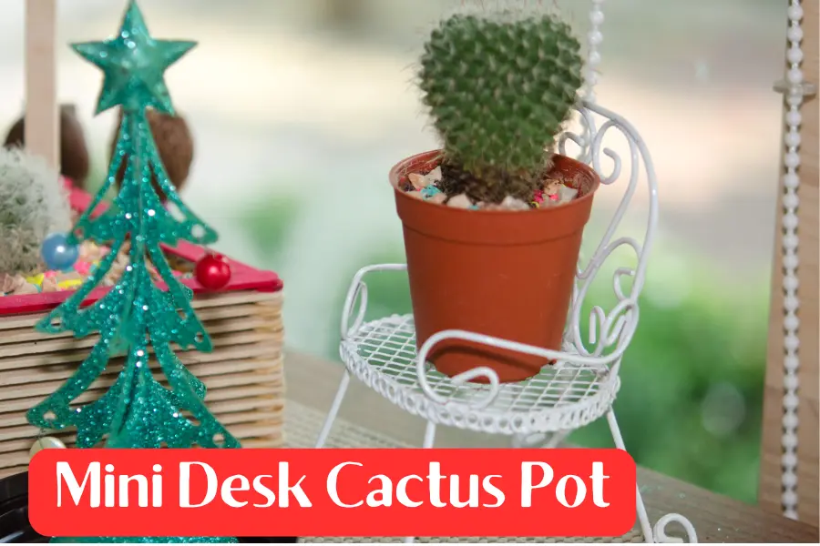 Mini Desk Cactus Pot