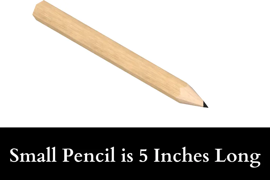 Small Pencil is 5 Inches Long