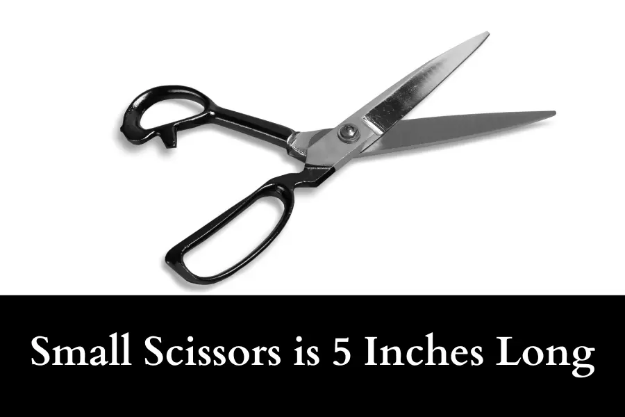 Small Scissors is 5 Inches Long