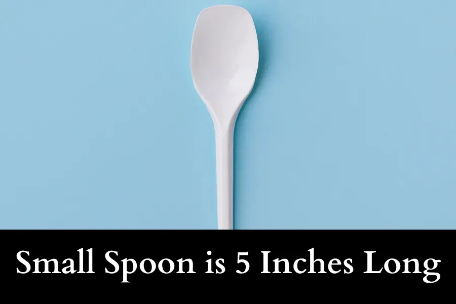 Small Spoon is 5 Inches Long