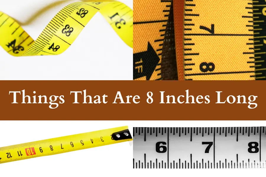 Things That Are 8 Inches Long Everyday Items You Know