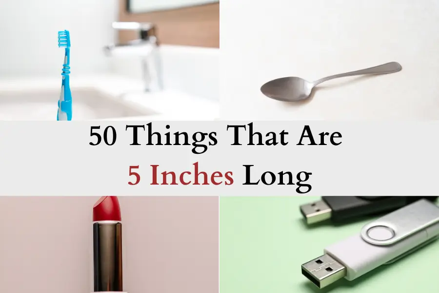 Things That Are About 5 Inches Long