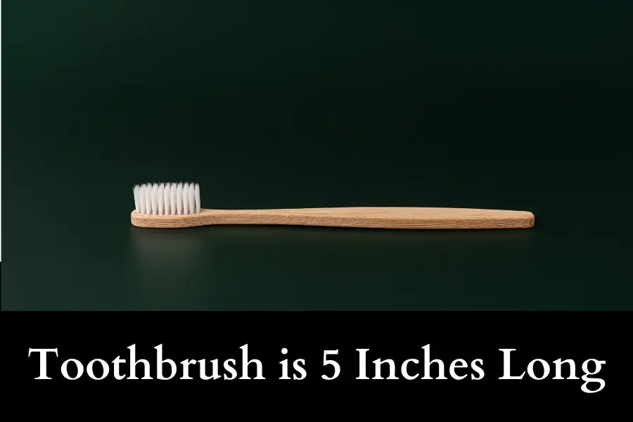 Toothbrush is 5 Inches Long