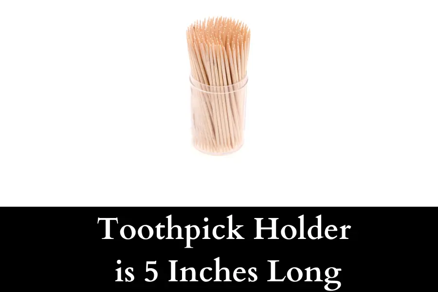 Toothpick Holder is 5 Inches Long