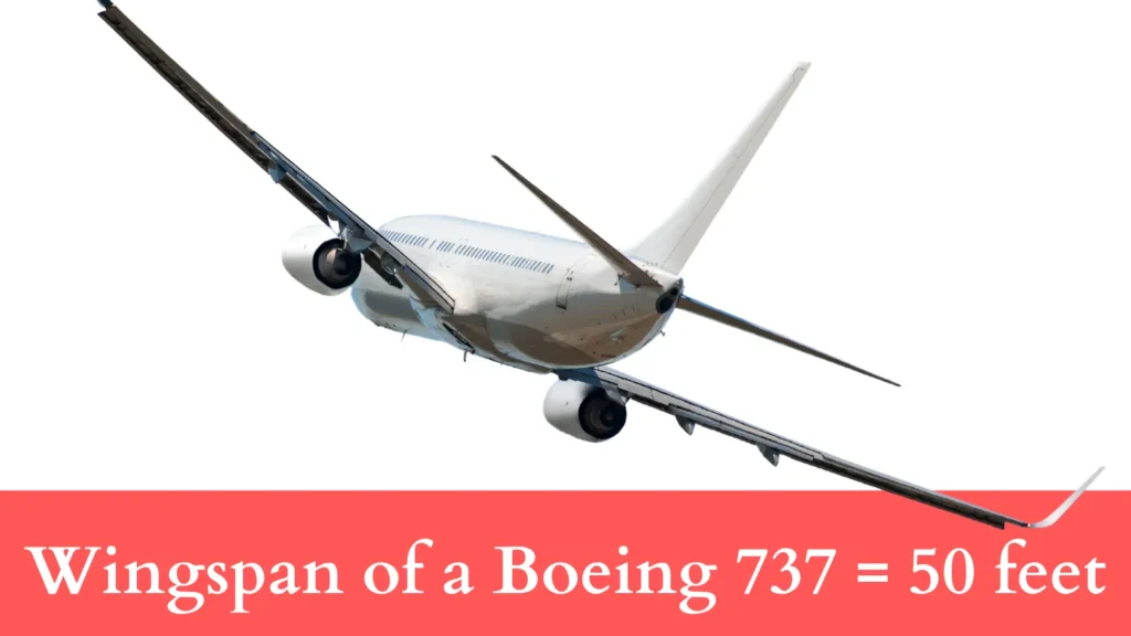 Wingspan of a Boeing 737 is 50 feet