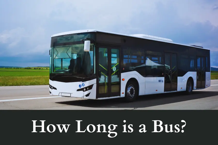 how long is a bus