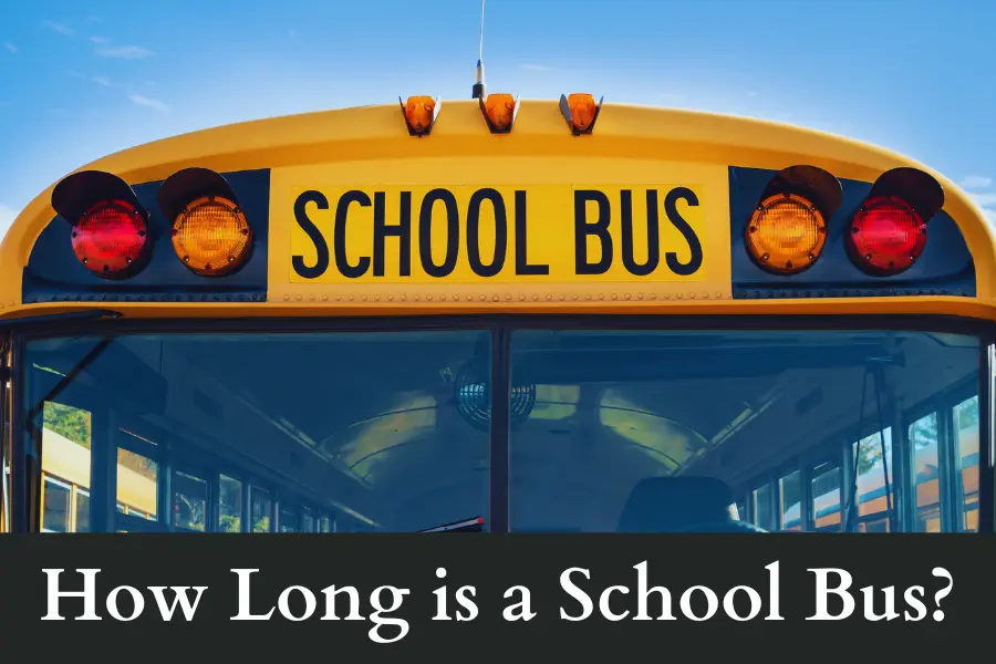 how long is a school bus