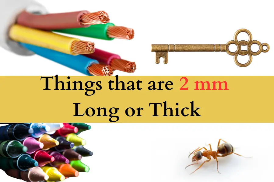 20 Things that are 2 mm Long or Thick