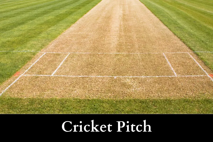 65 percent of the Length of a Cricket Pitch is 43 feet long