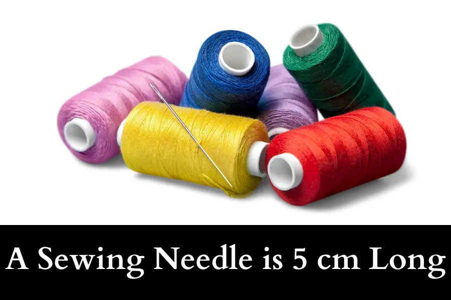 A Sewing Needle is 5 cm long