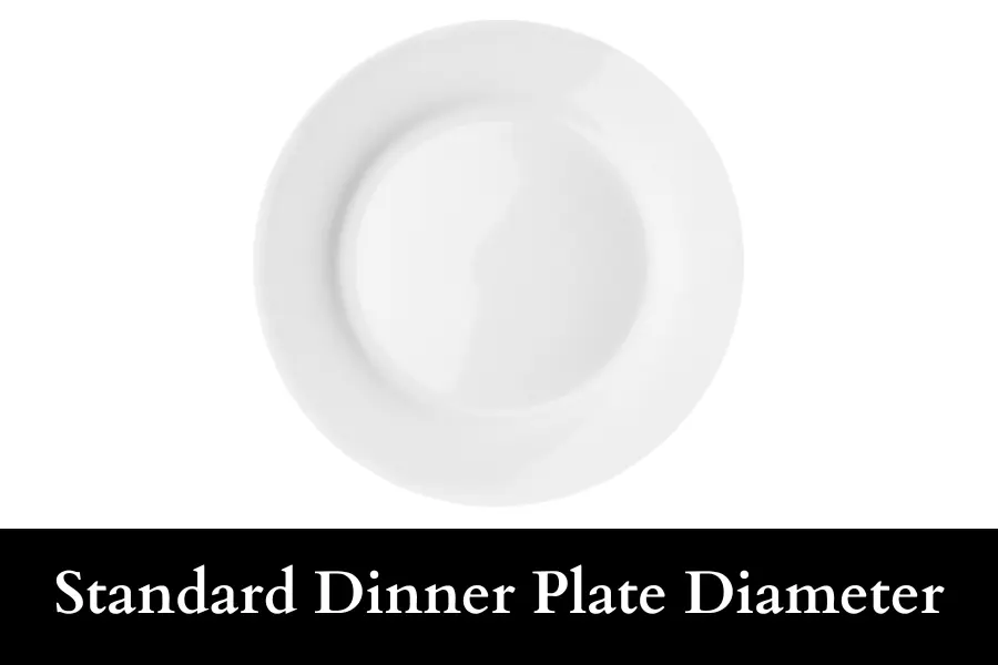 A Standard Dinner Plate Diameter Is 20 cm long