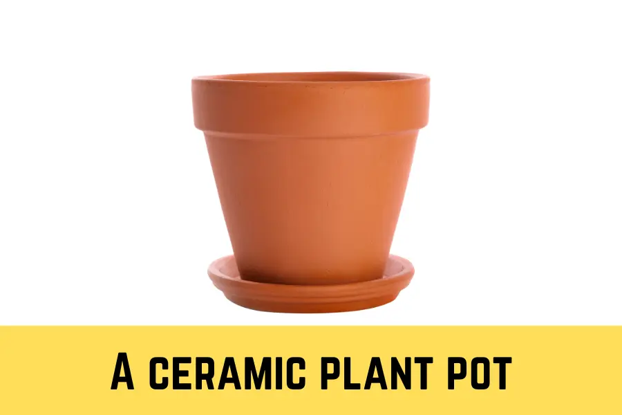 A ceramic plant pot