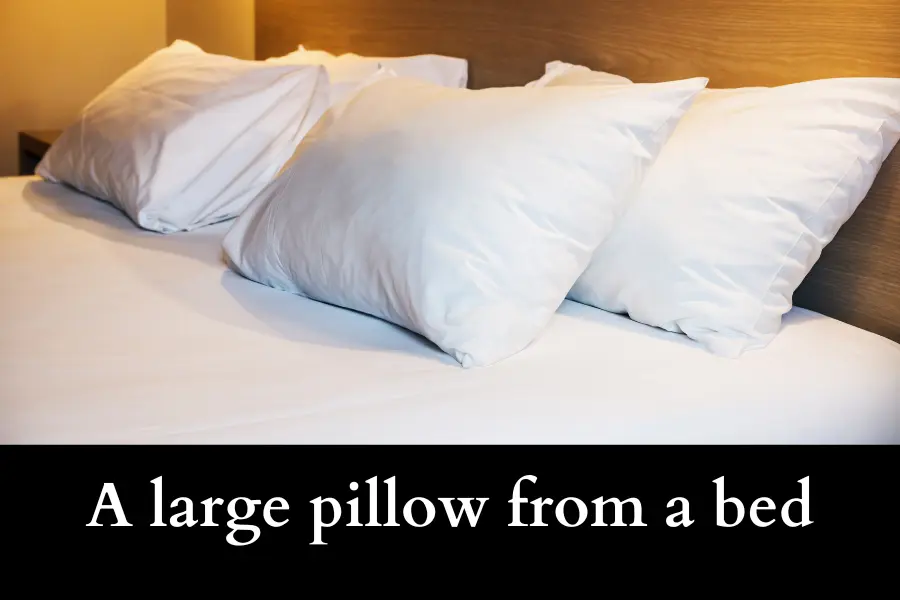 A large pillow from a bed are 50 cm Long or Big