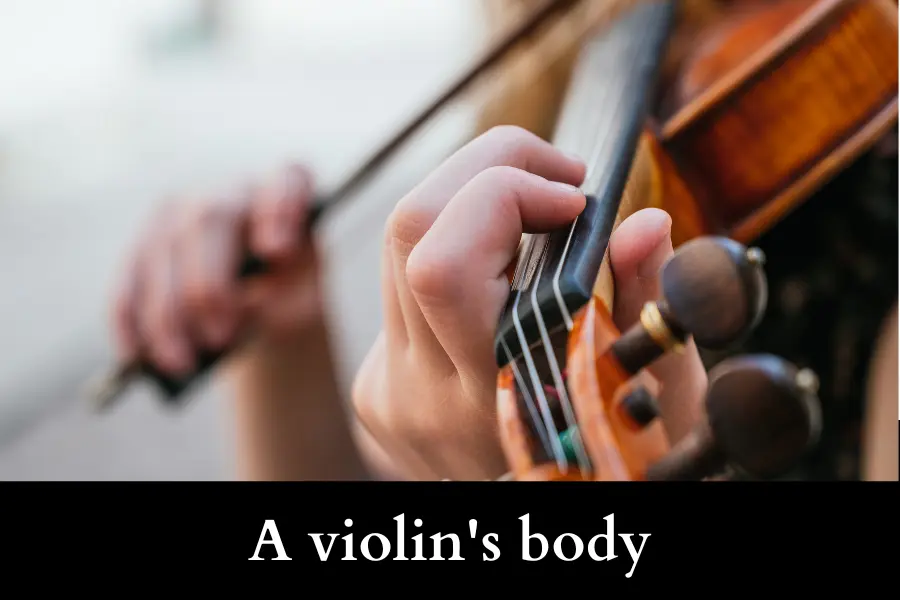 A violin's body is 50 cm Long or Big