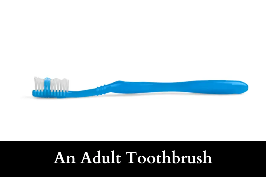 An Adult Toothbrush Is 20 cm long