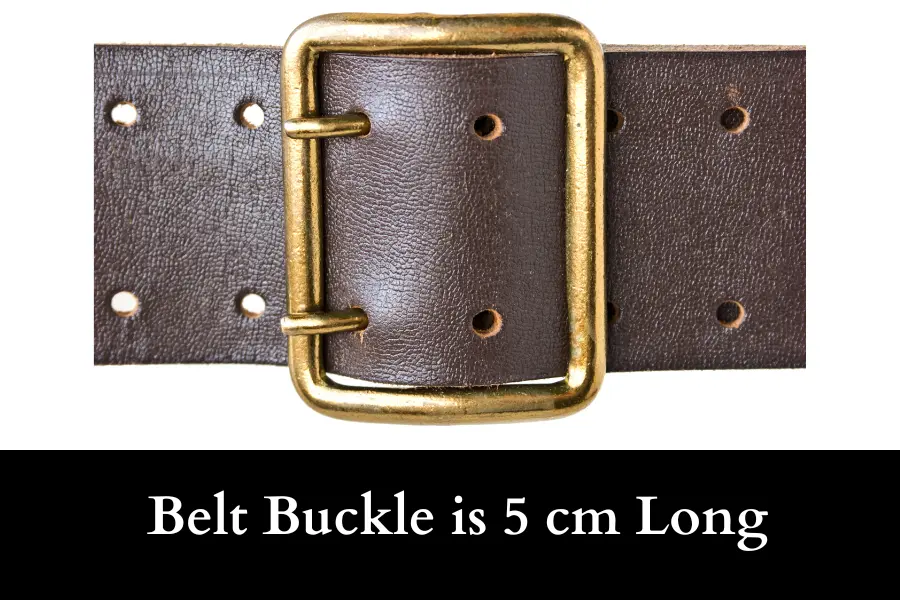 Belt Buckle is 5 cm Long