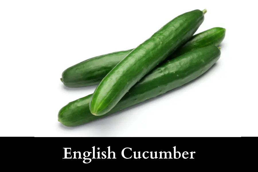 English Cucumber Is 20 cm long