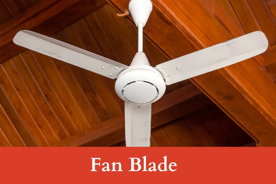 Fan Blade is 9 inches long