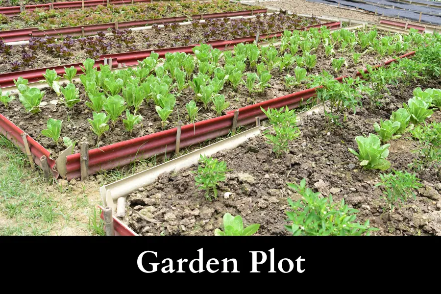 Garden Plot is a 100 square feet in size