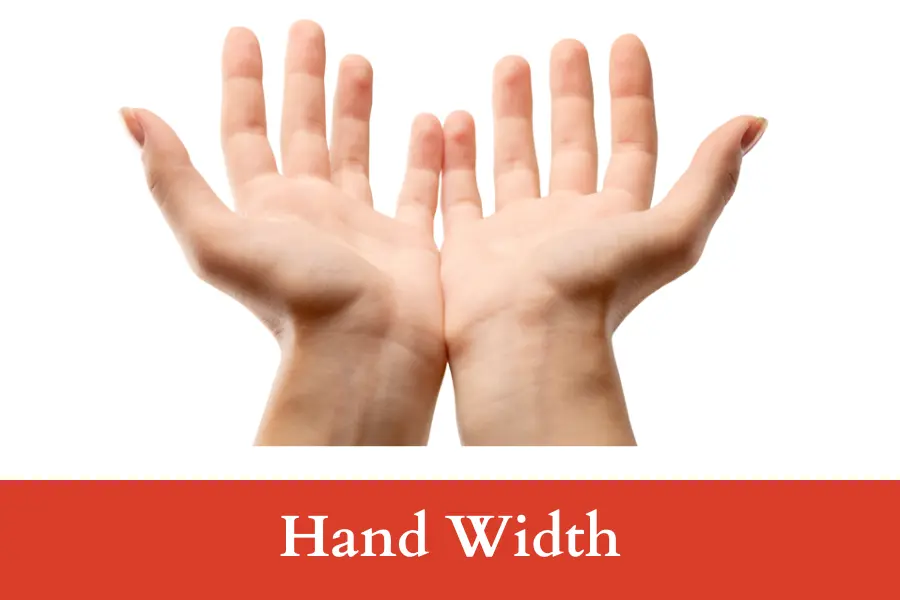 Hand Width is 4 inches long