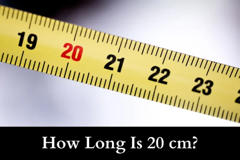 How Long Is 20 cm