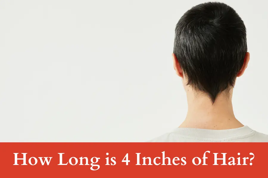 How Long is 4 Inches of Hair