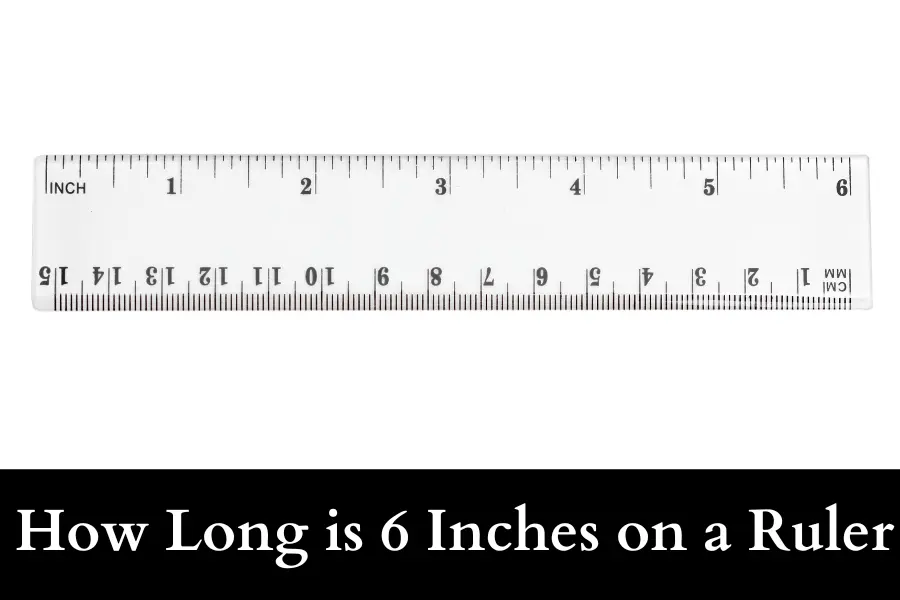 How Long is 6 Inches on a Ruler