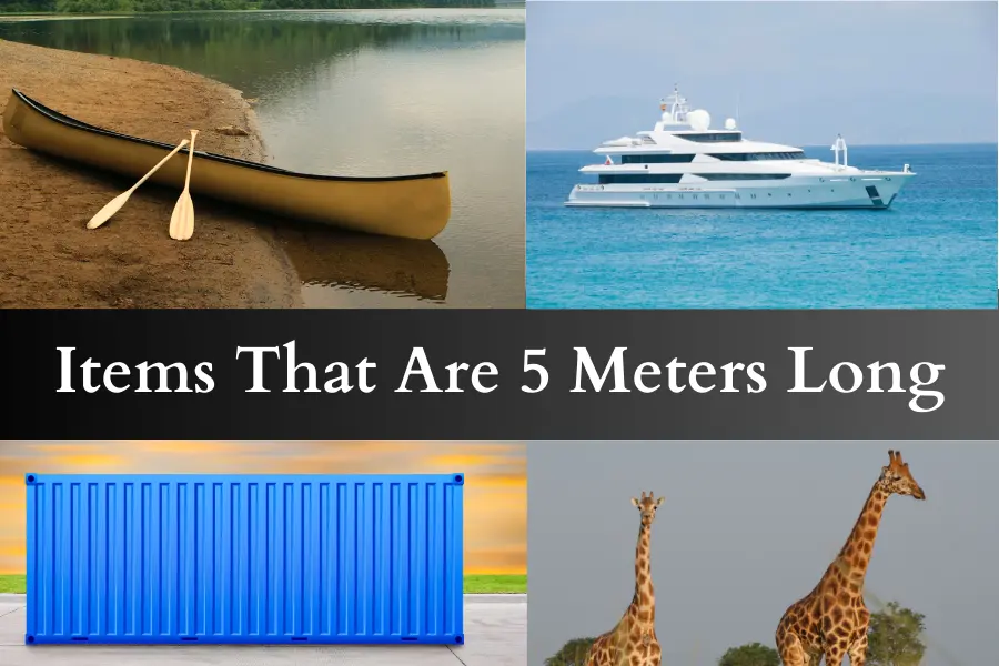 common Items That Are 5 Meters Long or Big