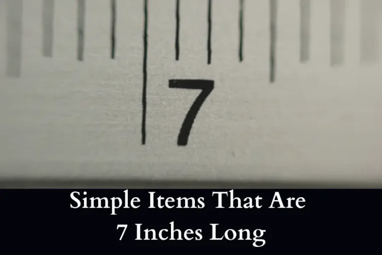 Items That Are 7 Inches Long