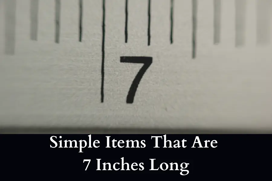 Items That Are 7 Inches Long