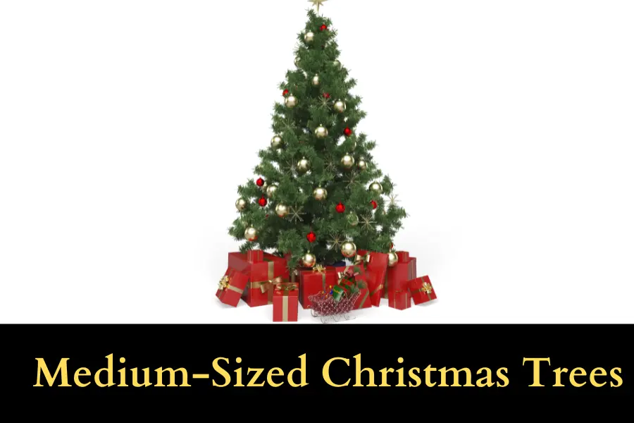 Medium-Sized Christmas Tree is 6 Feet long or tall