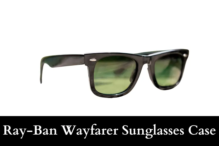 Ray-Ban Wayfarer Sunglasses Case Is 20 cm long