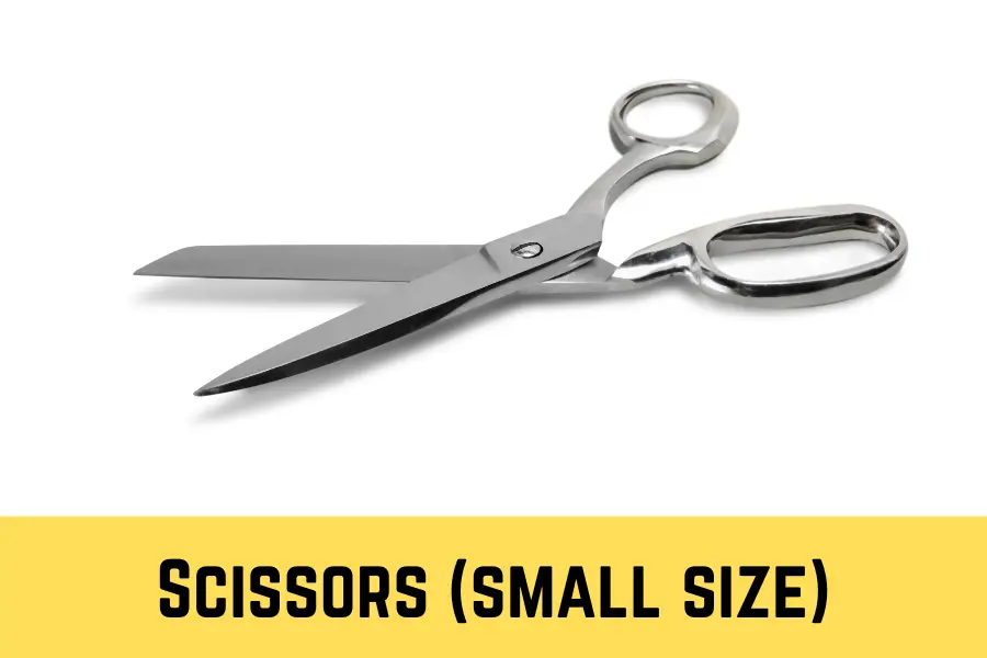 Scissors (small size)