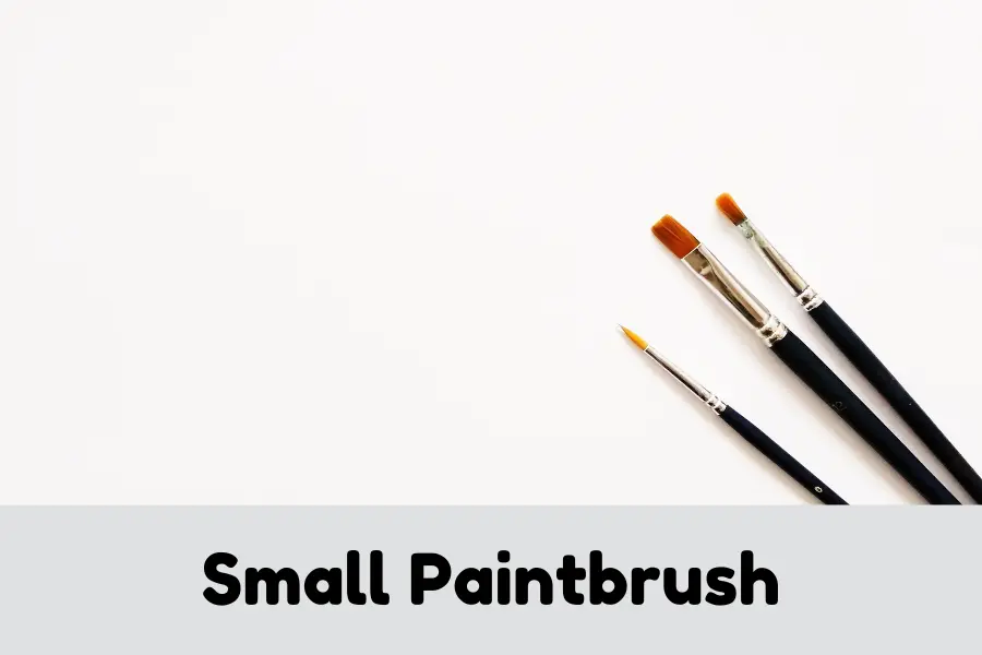 Small Paintbrush