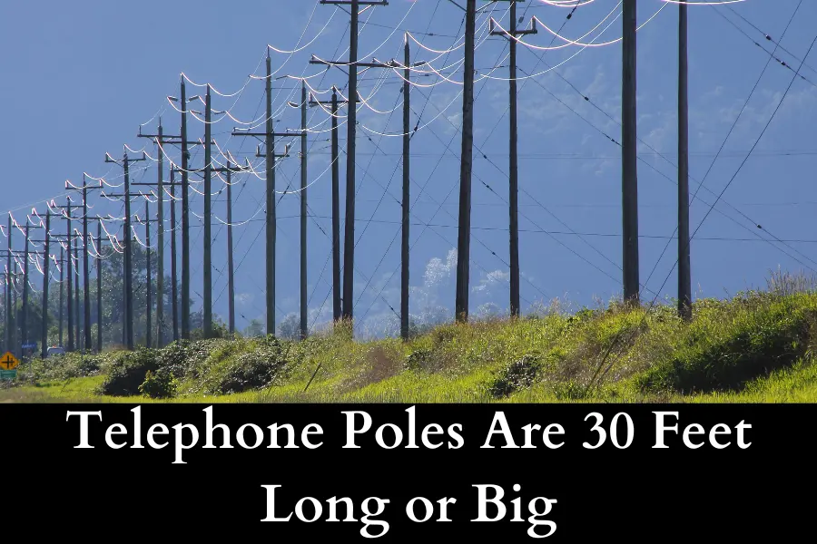 Telephone Poles Are 30 Feet Long or Big