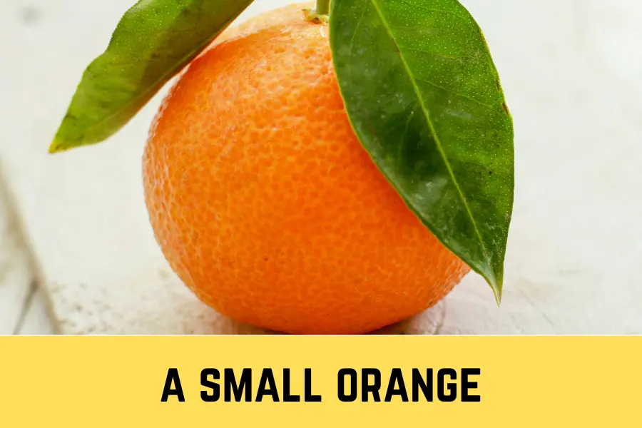 The diameter of a small orange